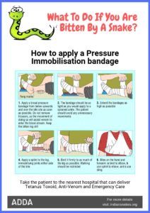snakebite precautions