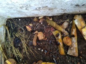 Problems in Waste Management